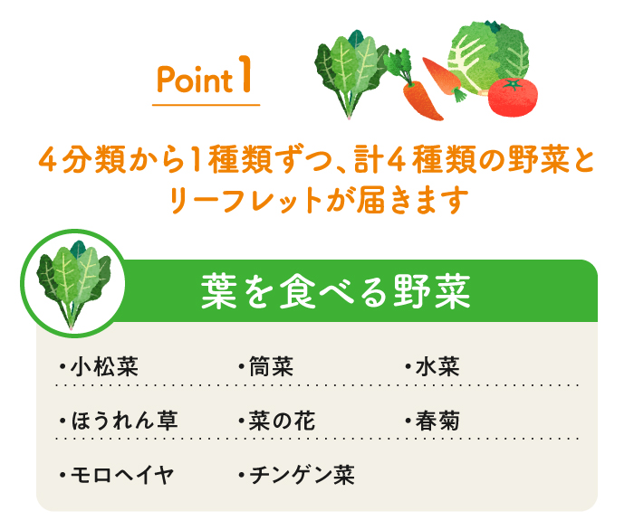 Point１ ４分類から１種類ずつ計４種類の野菜 ＋リーフレットが届きます
