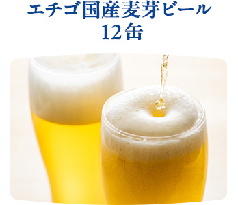 エチゴ国産麦芽ビール12缶