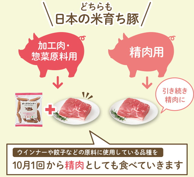 ウインナーや餃子などの原料に使用している品種を10月1回から精肉としても食べていきます