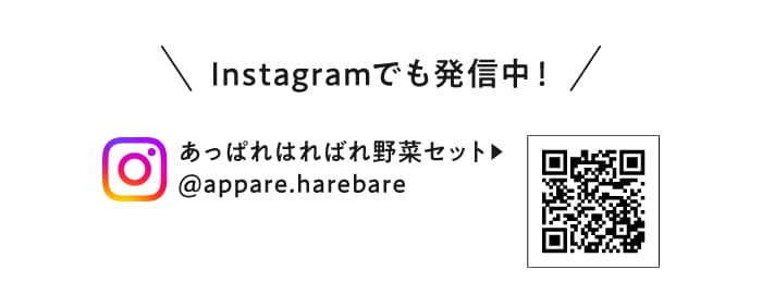 Instagramでも発信中！