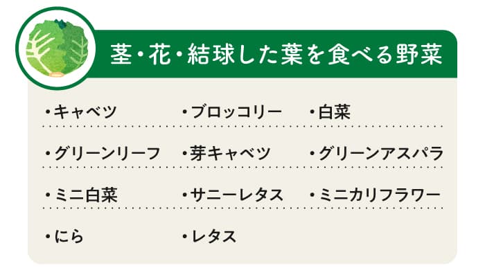 茎・花・結球した葉を食べる野菜