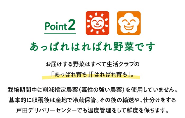 Point２ あっぱれはればれ野菜です