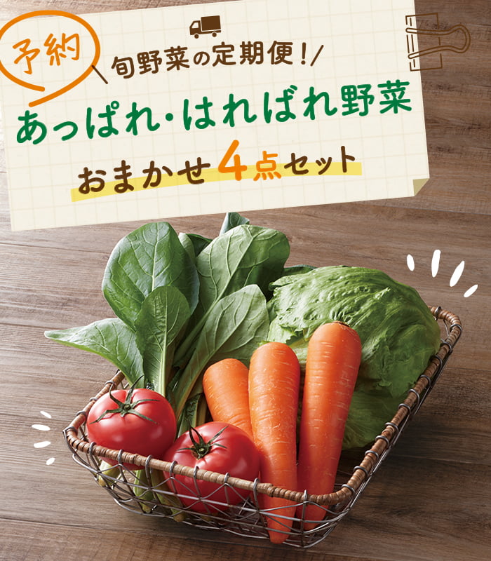 旬野菜の定期便！予約・あっぱれはればれ野菜おまかせ４点セット