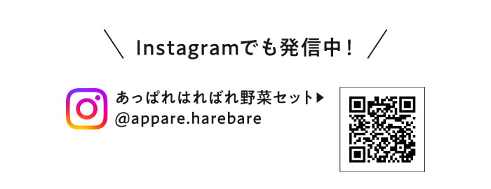 Instagramでも発信中！