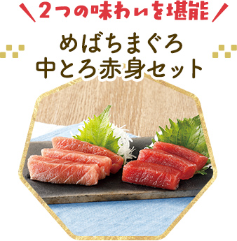 めばちまぐろ中とろ赤身セット