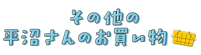 その他の平沼さんのお買い物