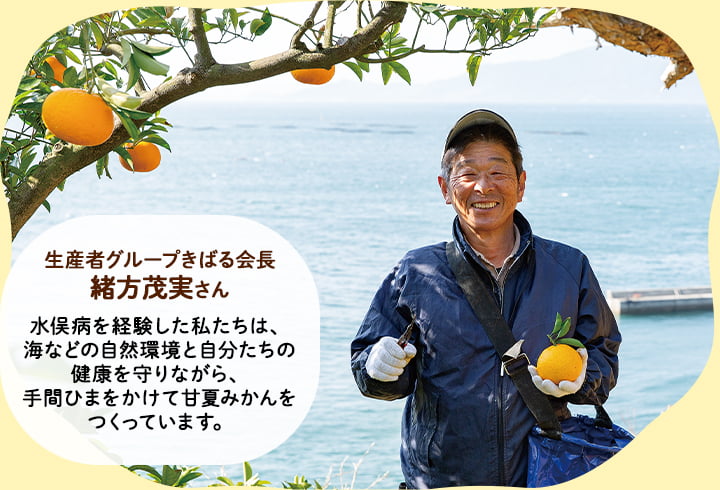 生産者グループきばる会長　緒方茂実さん