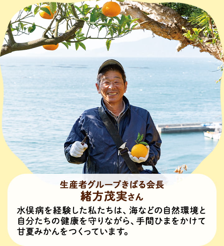 生産者グループきばる会長　緒方茂実さん