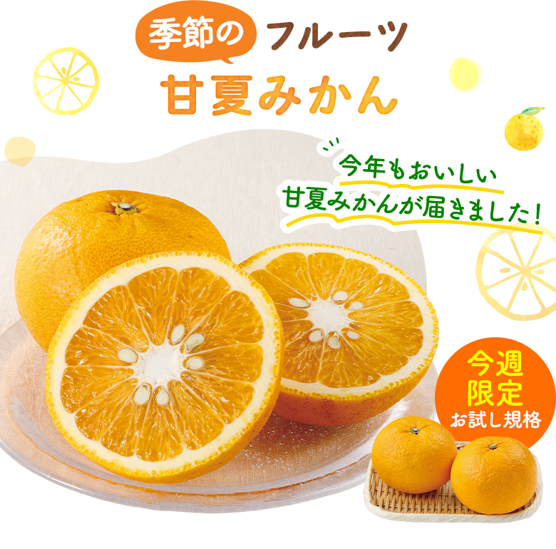 季節のフルーツ　甘夏みかん