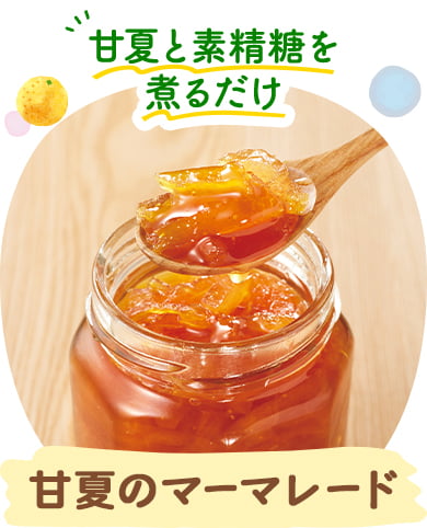 甘夏のマーマレード
