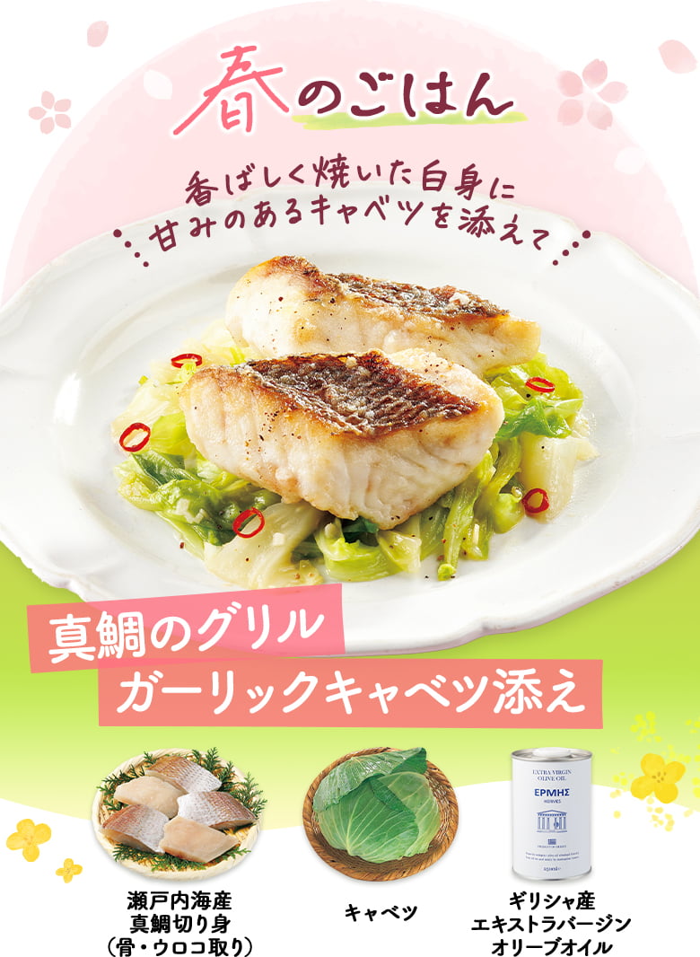 春のごはん　真鯛のグリル ガーリックキャベツ添え