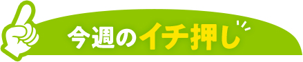 今週のイチ押し