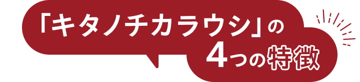 「キタノチカラウシ」の4つの特徴