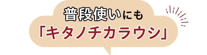 普段使いにも「キタノチカラウシ」