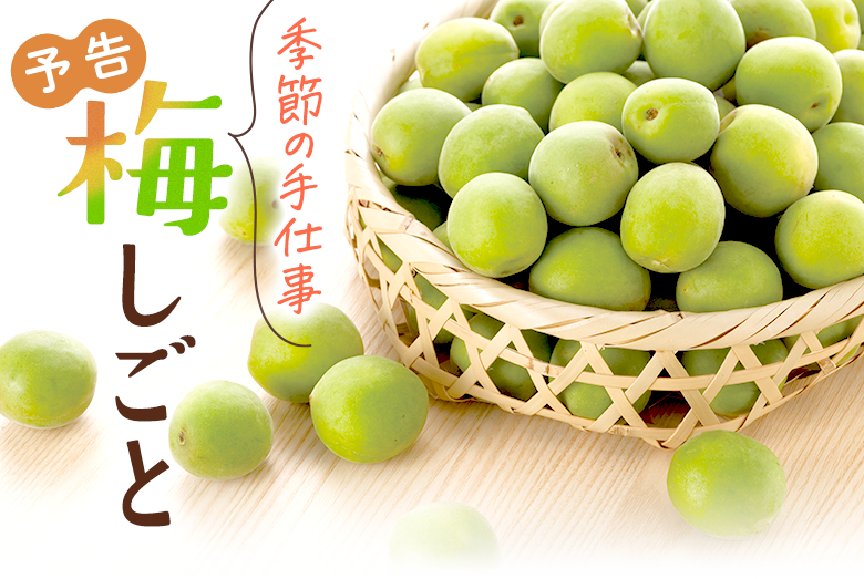 予告　季節の手仕事　梅しごと