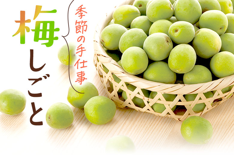 季節の手仕事　梅しごと