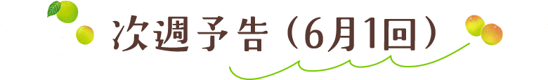 次週予告（6月1回）