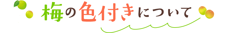 梅の色付きについて