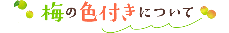 梅の色付きについて