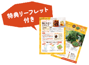 特典リーフレット付き