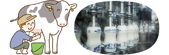 パスチャライズド製法の牛乳の画像