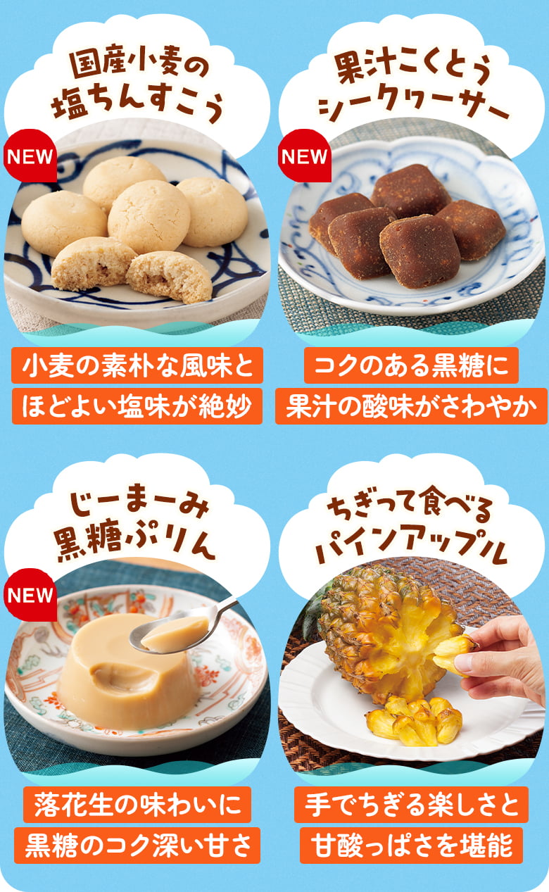 国産小麦の塩ちんすこう・果汁こくとう シークヮーサー・じーまーみ黒糖ぷりん・ちぎって食べるパインアップル