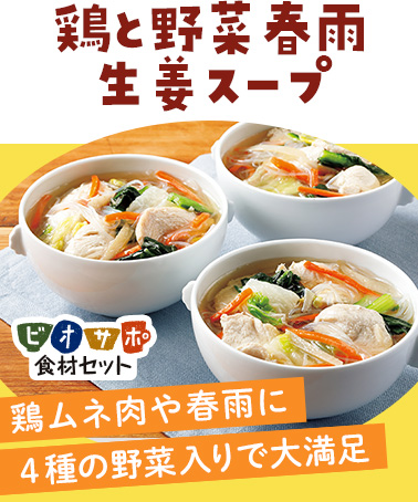 鶏と野菜春雨生姜スープ