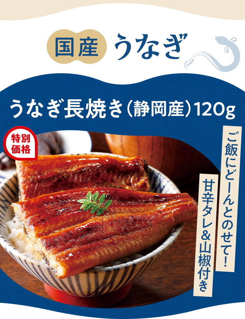 国産うなぎ うなぎ長焼き（静岡産）120g