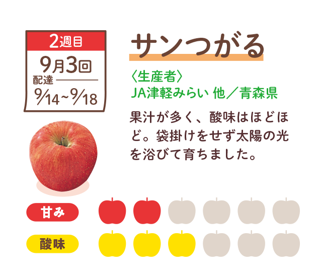 サンつがる　緻密な果肉に果汁たっぷり。袋掛けをせずに育てたりんごです。