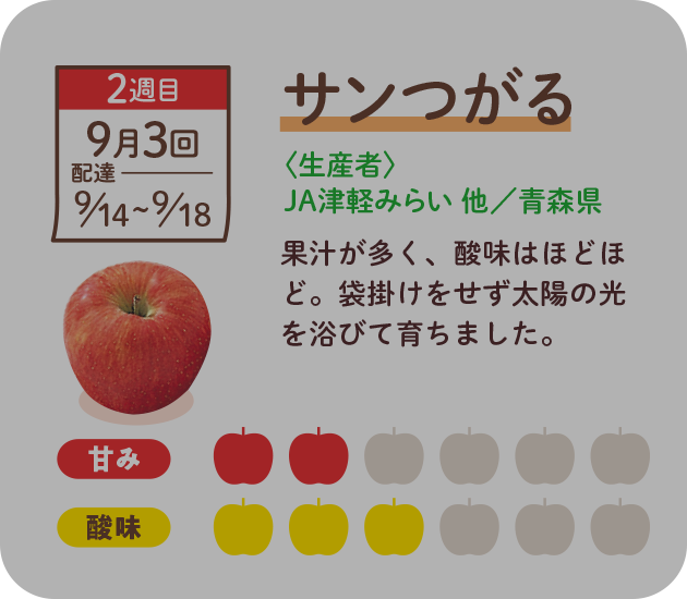 サンつがる　緻密な果肉に果汁たっぷり。袋掛けをせずに育てたりんごです。