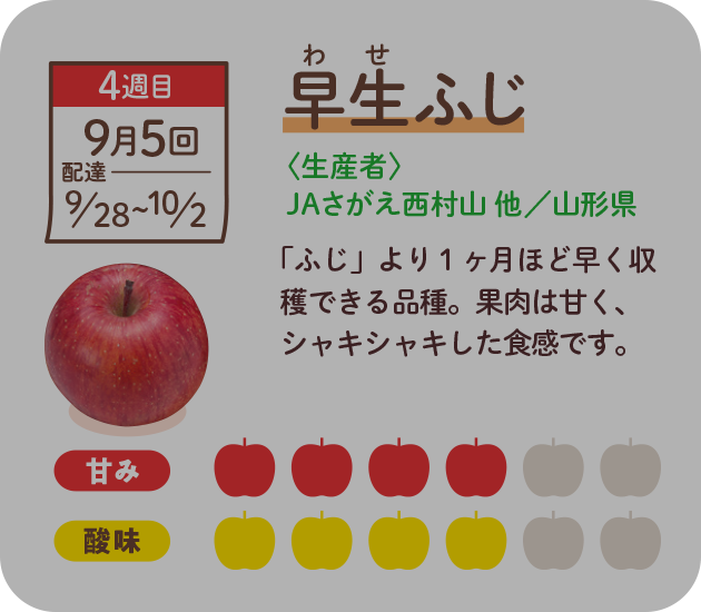 早生ふじ　「ふじ」の突然変異などで生まれた品種。早めに収穫できます。