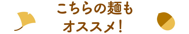 こちらの麺もオススメ！