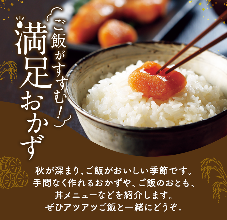 ご飯がすすむ！満足おかず