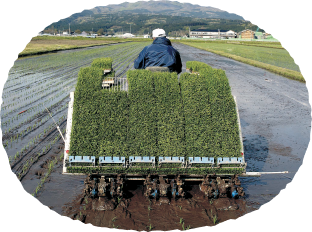 生産者の写真