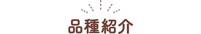 品種紹介