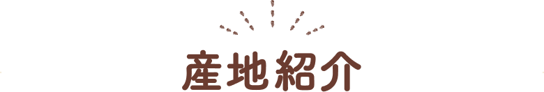 産地紹介