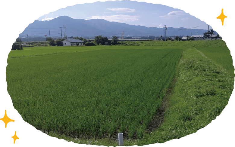 産地紹介