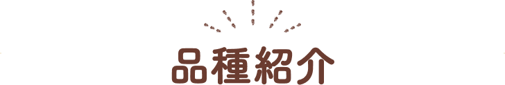 品種紹介