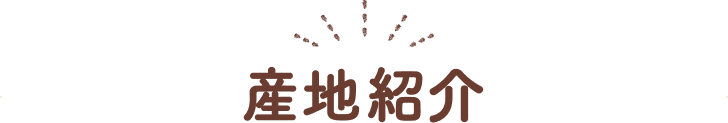 産地紹介