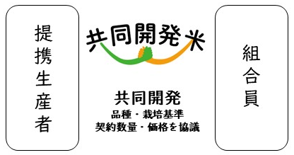 共同開発米
