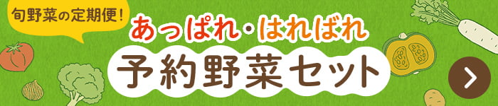 旬野菜の定期便「あっぱれはればれ野菜 おまかせ4点セット」はこちら