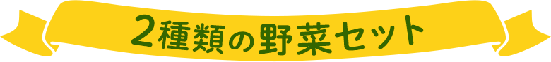 2種類の野菜セット