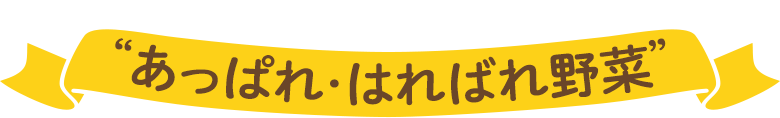 すべてが“あっぱれ・はればれ野菜”
