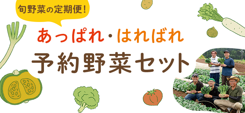 旬野菜の定期便!あっぱれ・はればれ 予約野菜セット