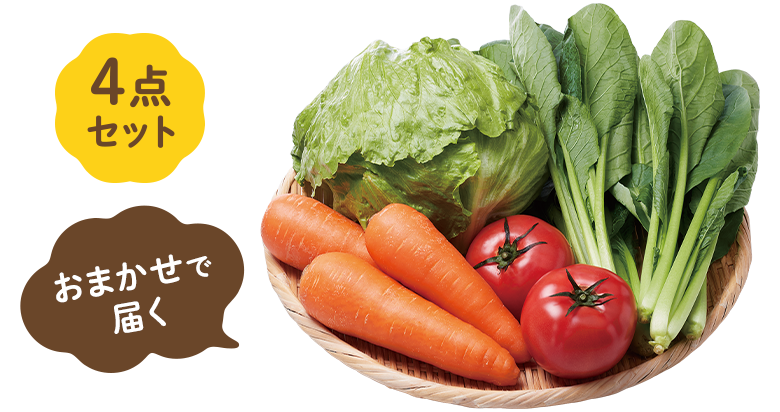 おまかせで届く野菜4点セット