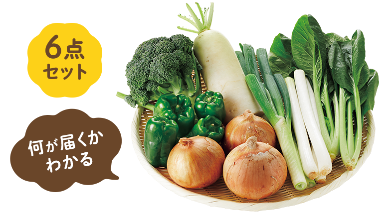 何が届くかわかる野菜6点セット