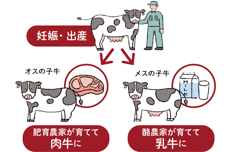 循環図