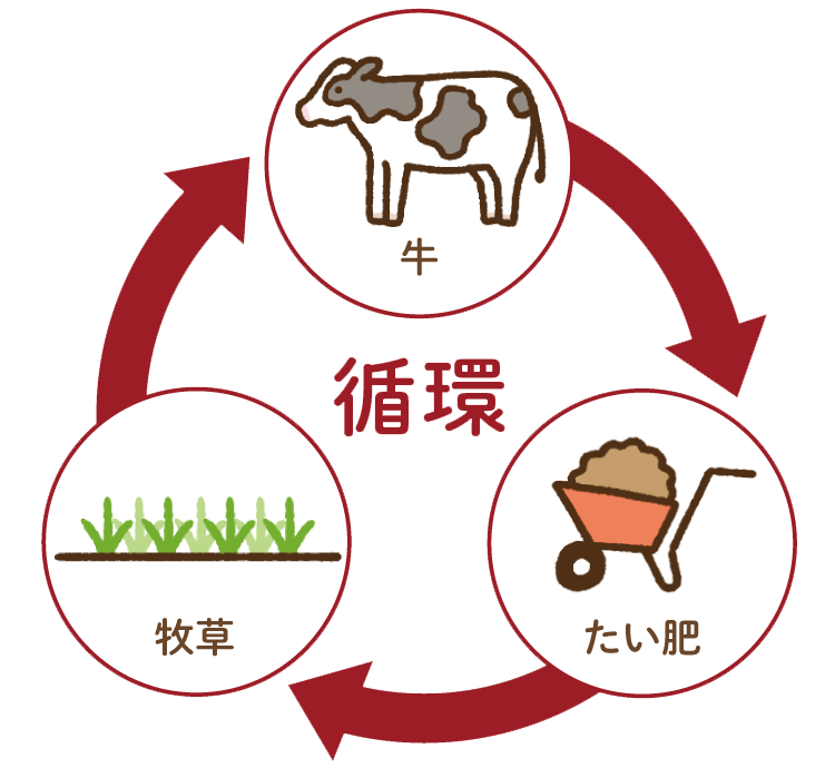 循環図