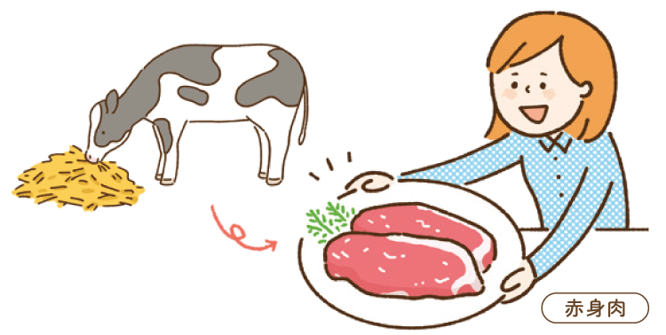 赤身肉