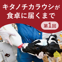 キタノチカラウシが食卓に届くまで第1回
